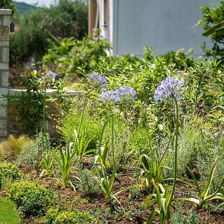 Syvota Gardens 아파트 외부 사진
