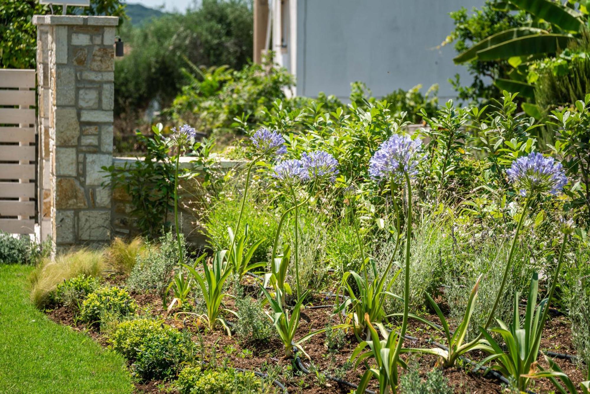 Syvota Gardens 아파트 외부 사진
